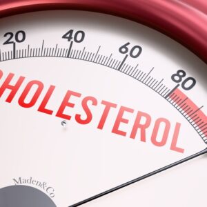 【膽固醇】正常水平是多少？了解種類、功能、健康影響與控制方法