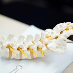 椎板切除術費用幾錢？自願醫保包唔包？