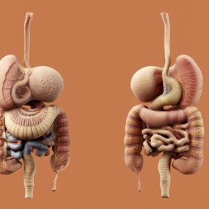 十二指腸穿孔修補術費用幾錢？自願醫保包唔包？